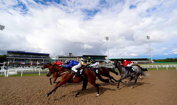 Today's Racing News: Punters busy as beavers on Tuesday but Newcastle not to be missed